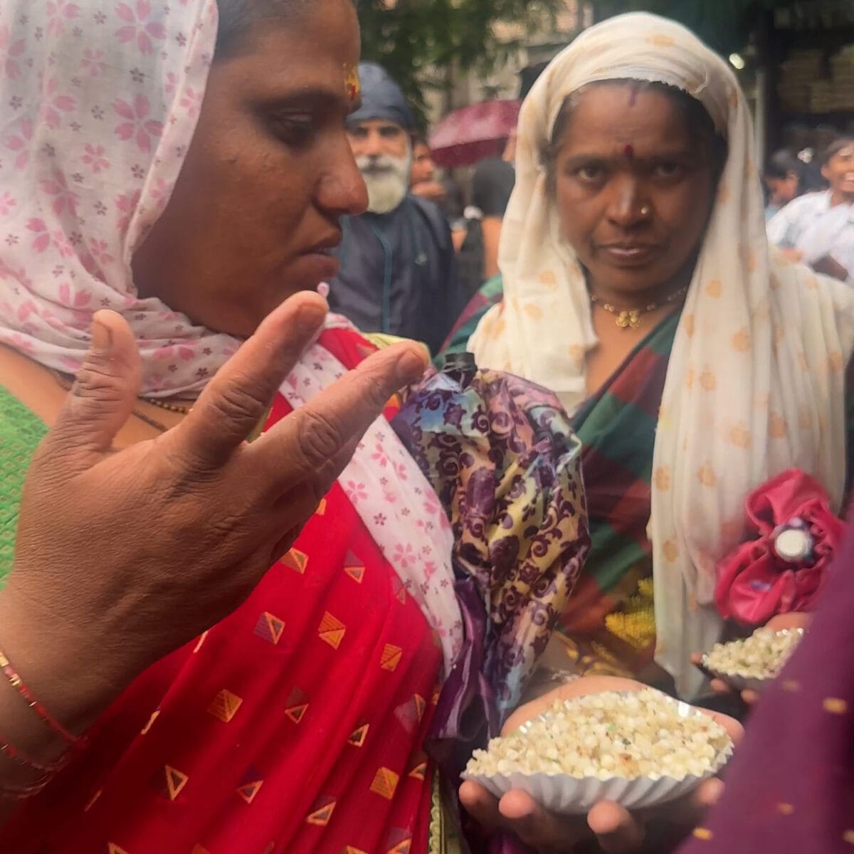 Ashadi Ekadashi 2025 Vitthal Rukmini Mauli Mandie Nashik