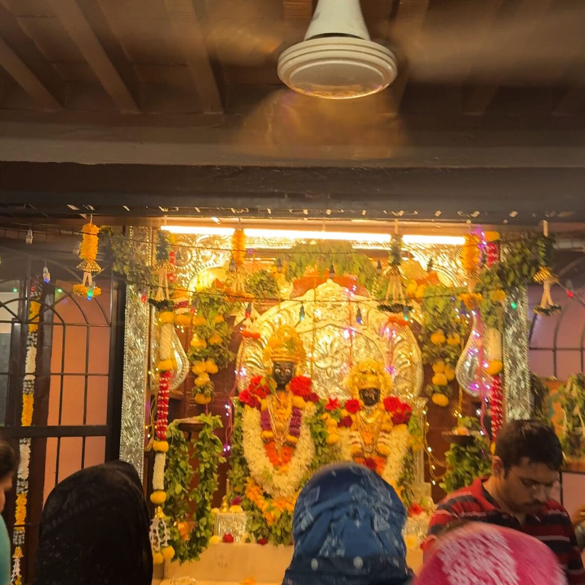 Ashadi Ekadashi 2025 Vitthal Rukmini Mauli Nashik 4