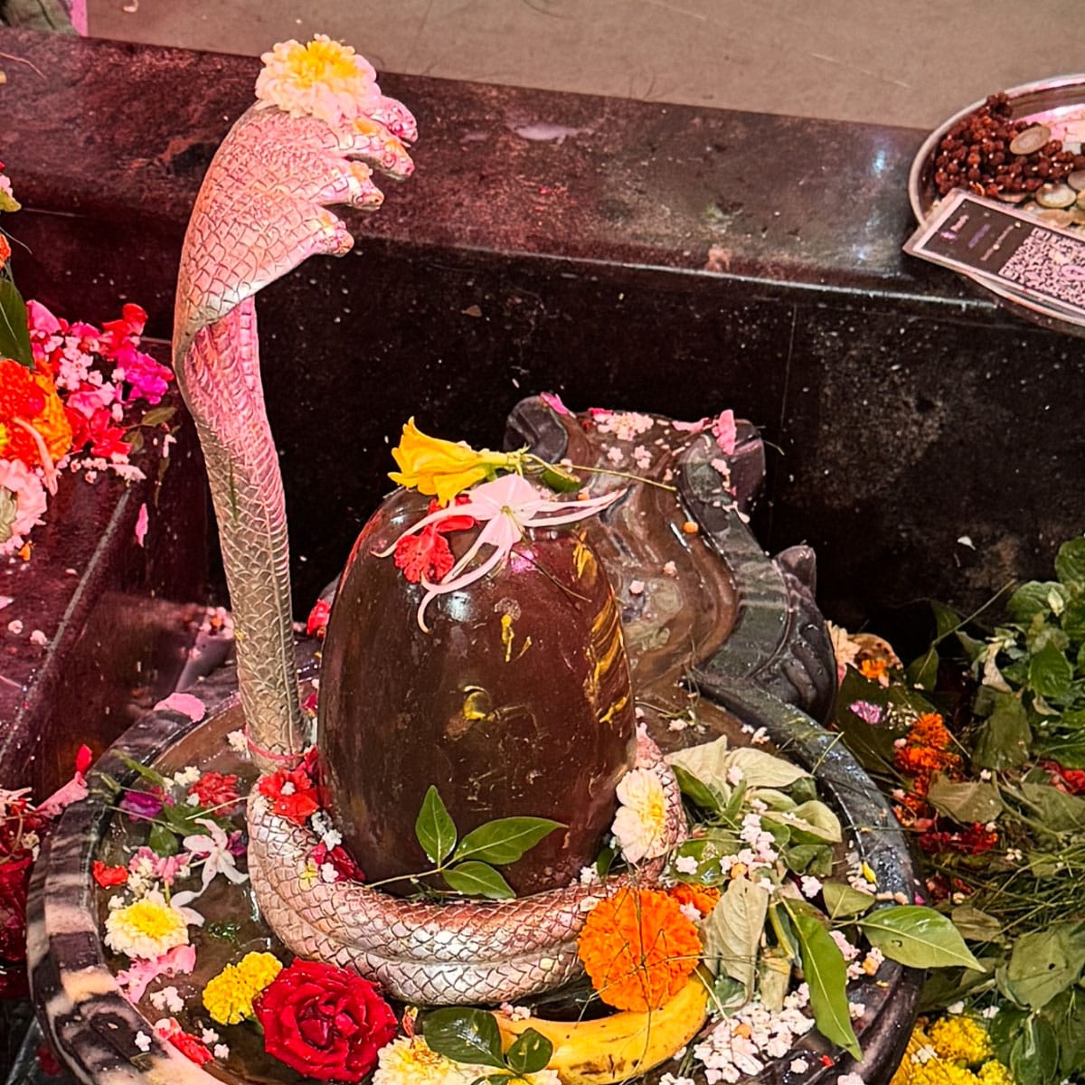 Nag Panchami at Panchavati Nashik Shravan 2025