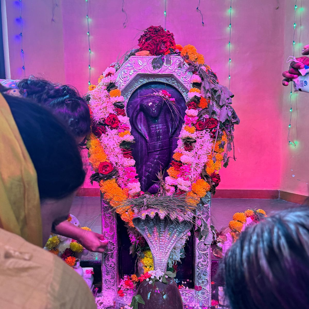 Nag Panchami at Panchavati Nashik Shravan 2025