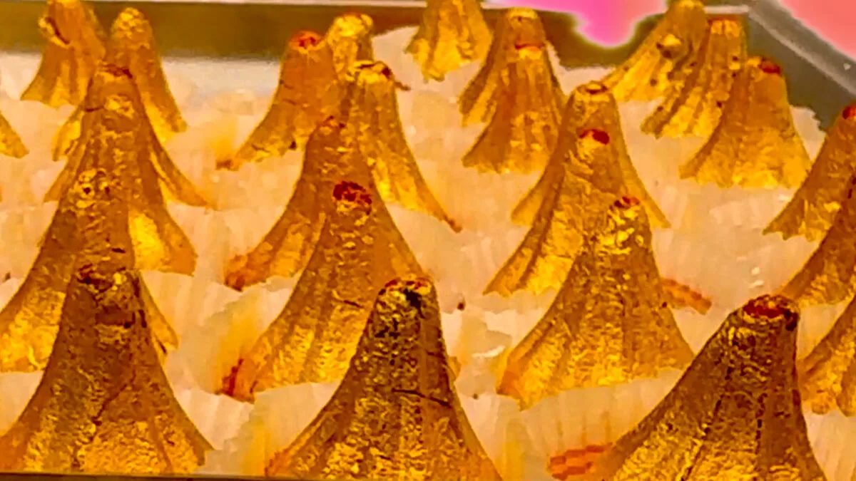 Ganesh Chaturthi 2025 Ganpati Bappa Morya Festival Ganesh Aarti Lyrics Ganeshotsav Nashik