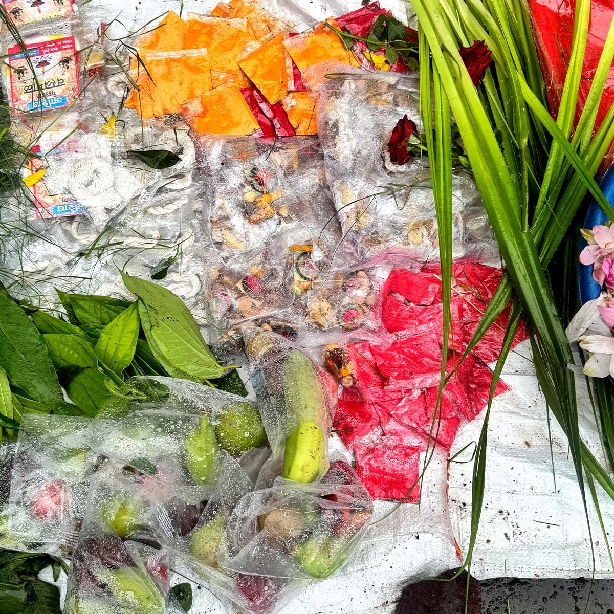 Hartalika Tritiya 2025 Teej Vrat Katha Puja Vidhi Nashik