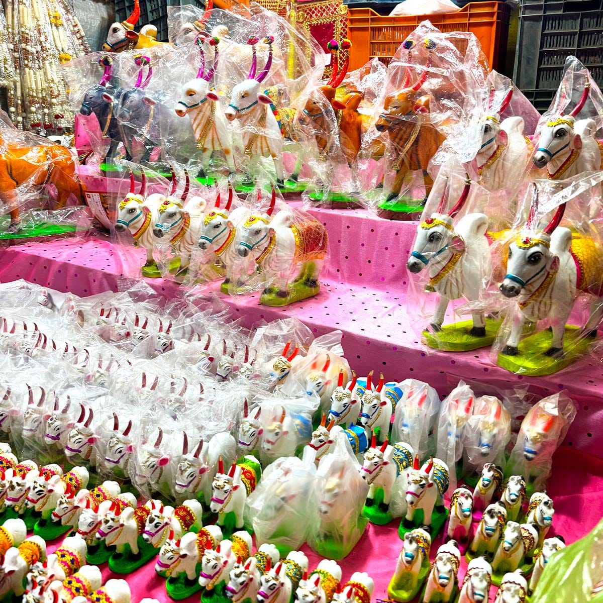 Pola Festival Bail Pola 2025 Nashik Maharashtra