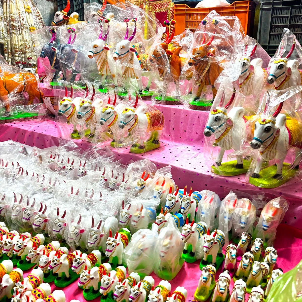 Pola Festival Bail Pola 2025 Nashik Maharashtra