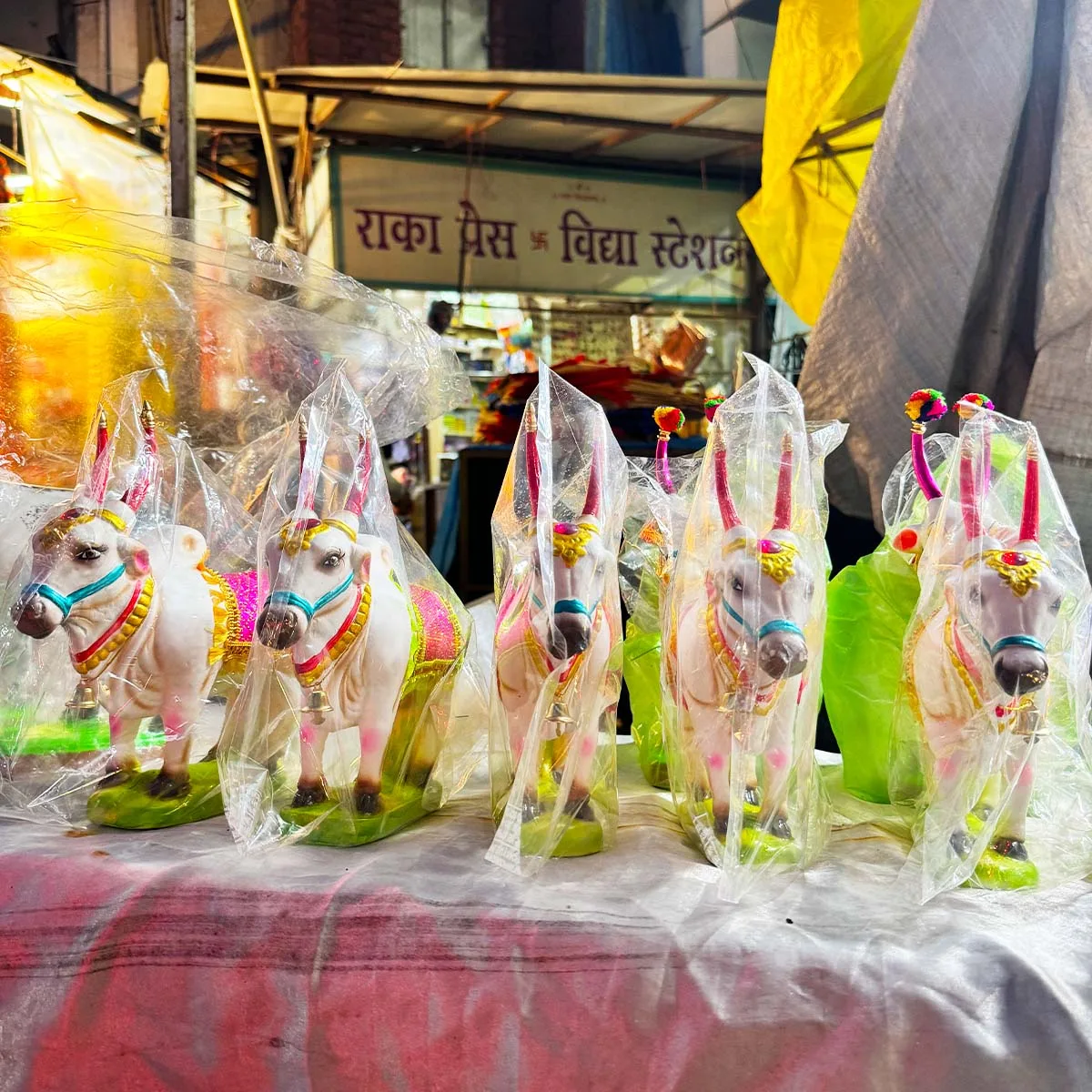 Pola Festival Bail Pola 2025 Nashik Maharashtra