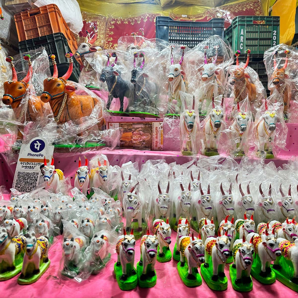 Pola Festival Bail Pola 2025 Nashik Maharashtra