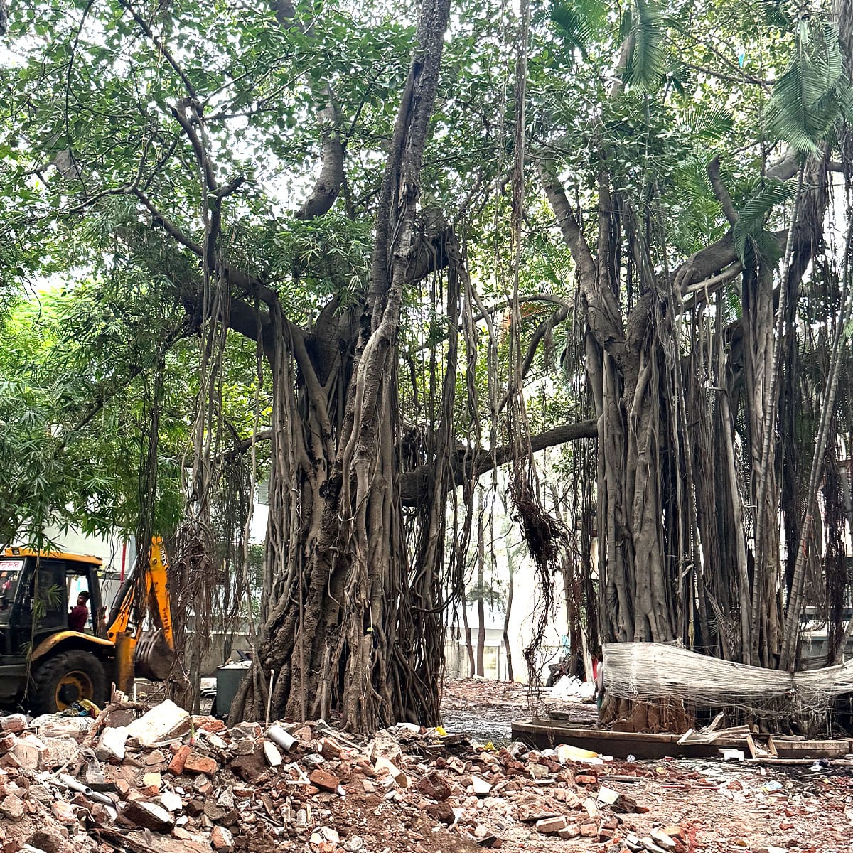 Ram Kal Path Project 2025 Godavari Ramkund Corridor Panchavati Nashik