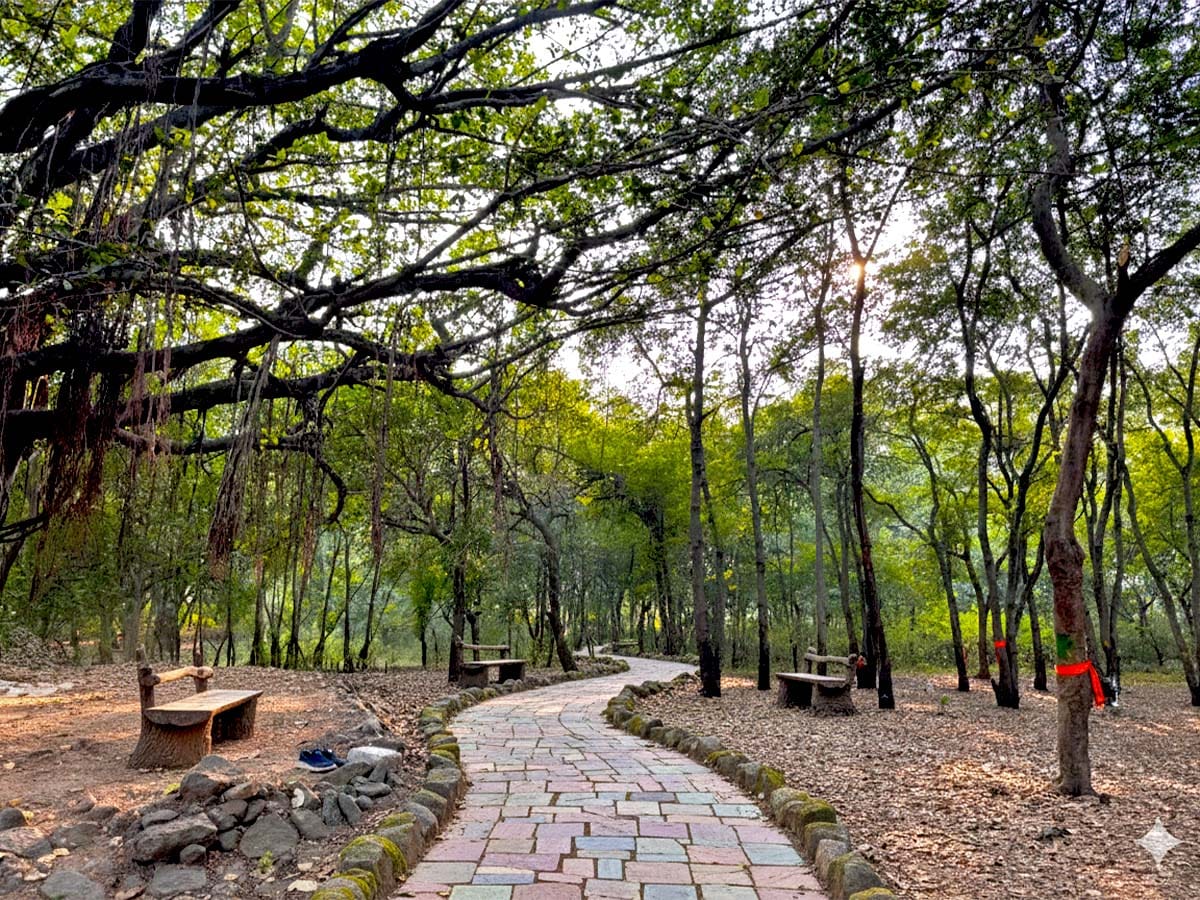 Tapovan in Nashik Maharashtra Kumbh Mela 2027 Nashik News Update