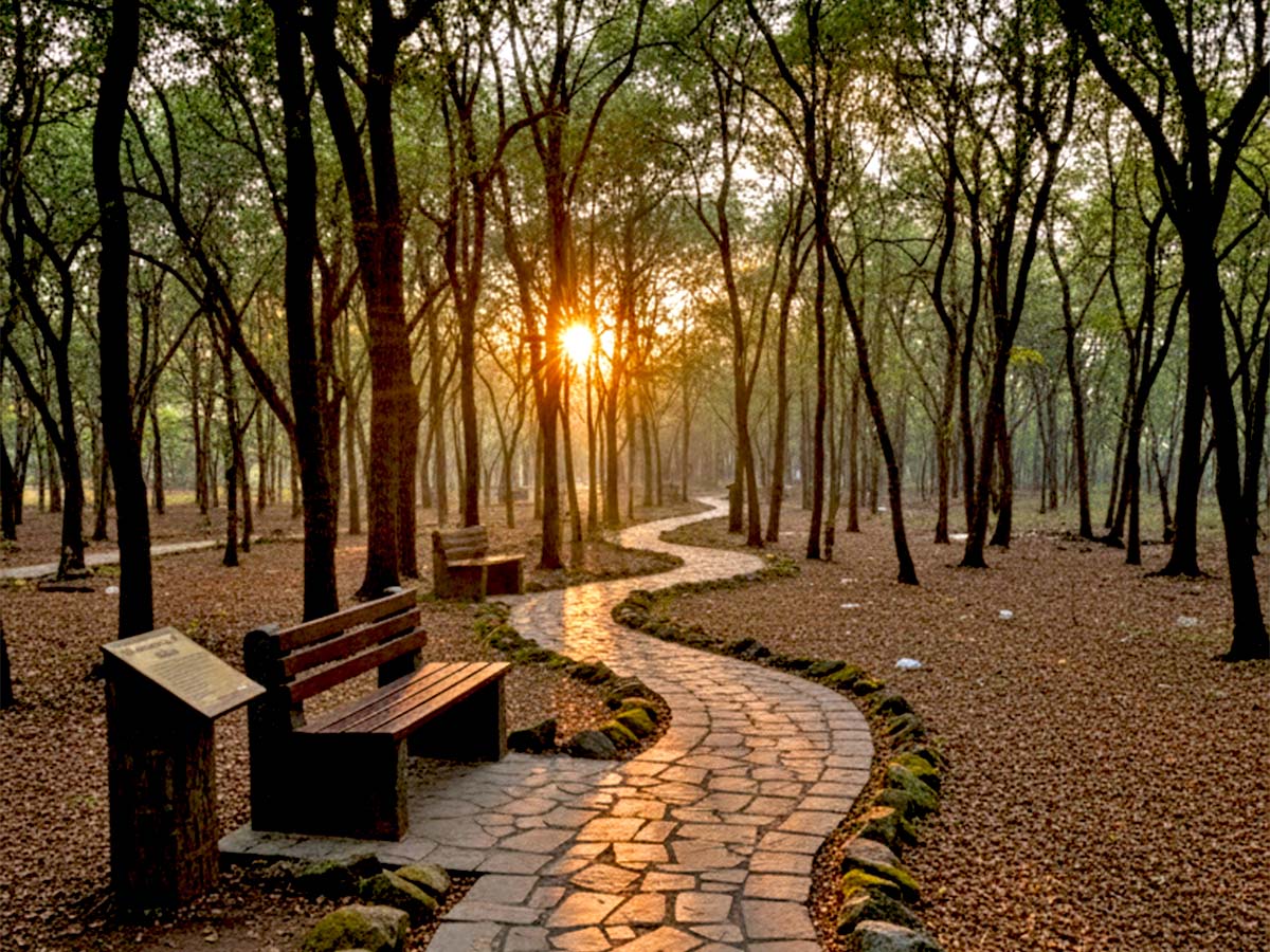 Tapovan in Nashik Maharashtra Kumbh Mela 2027 Nashik News Update