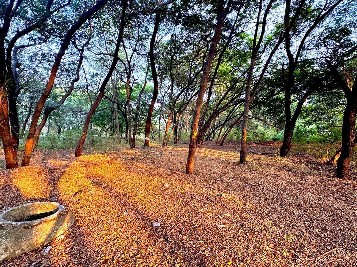 Tapovan in Nashik Maharashtra Kumbh Mela 2027 Nashik News Update