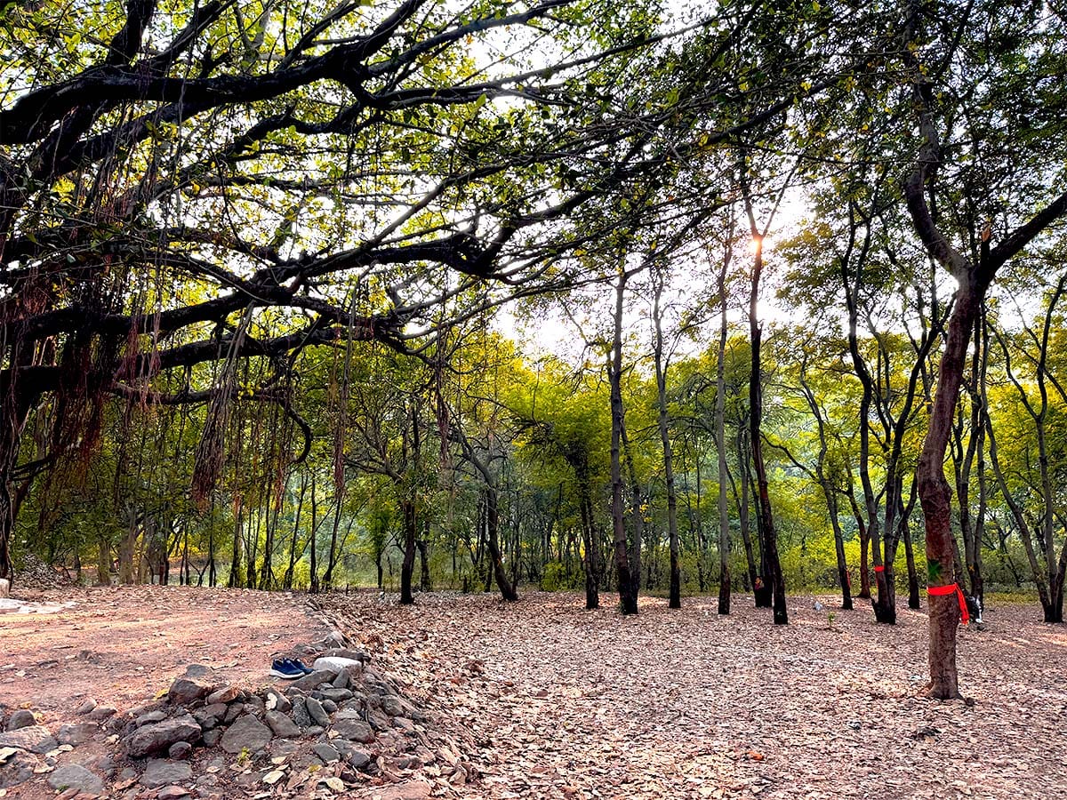 Tapovan in Nashik Maharashtra Kumbh Mela 2027 Nashik News Update