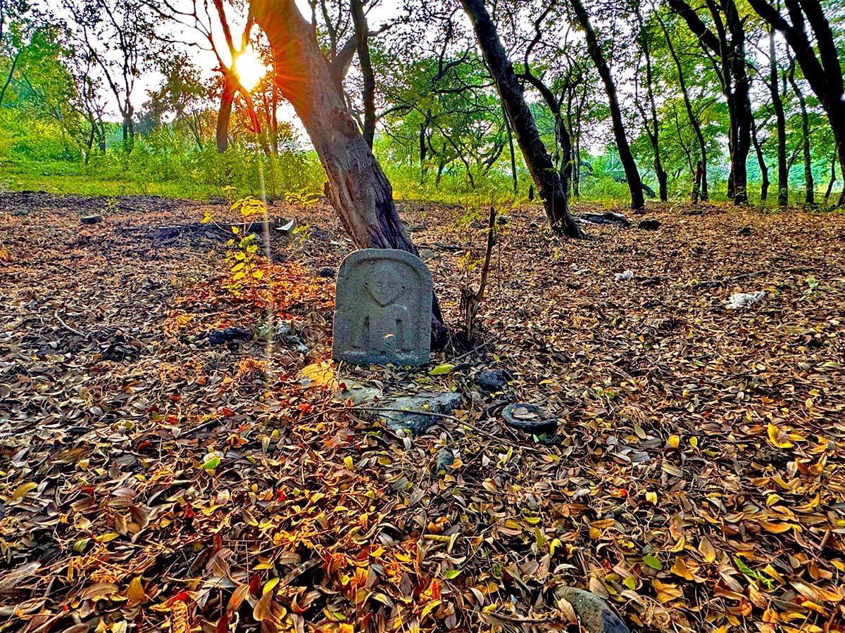 Tapovan in Nashik Maharashtra Kumbh Mela 2027 Nashik News Update