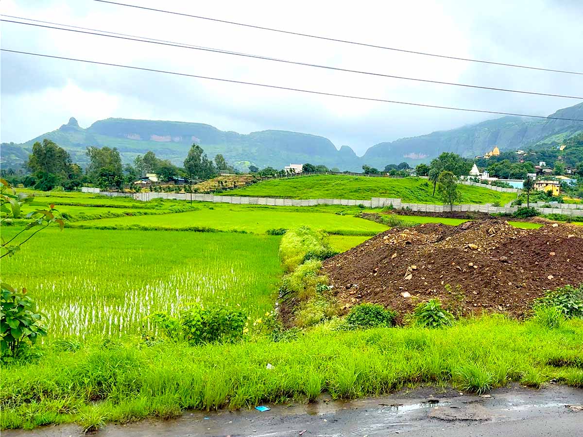 Trimbakeshwar Shiva Temple Jyotirlinga Mandir Nashik Maharashtra Photos