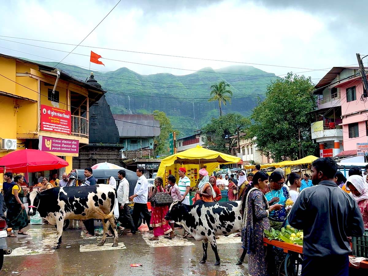 Kaal Sarp Dosh Shanti Puja at Trimbakeshwar Jyotirlinga Mandir Nashik Maharashtra Photos
