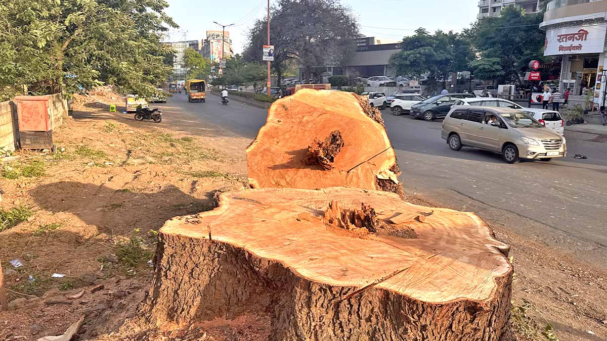 Nashik Tree Cutting Save Trees Protests Photos by Rohit R Featured Image