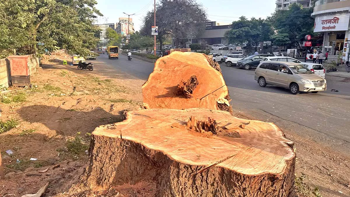 Nashik Tree Cutting Save Trees Protests Photos by Rohit R Featured Image