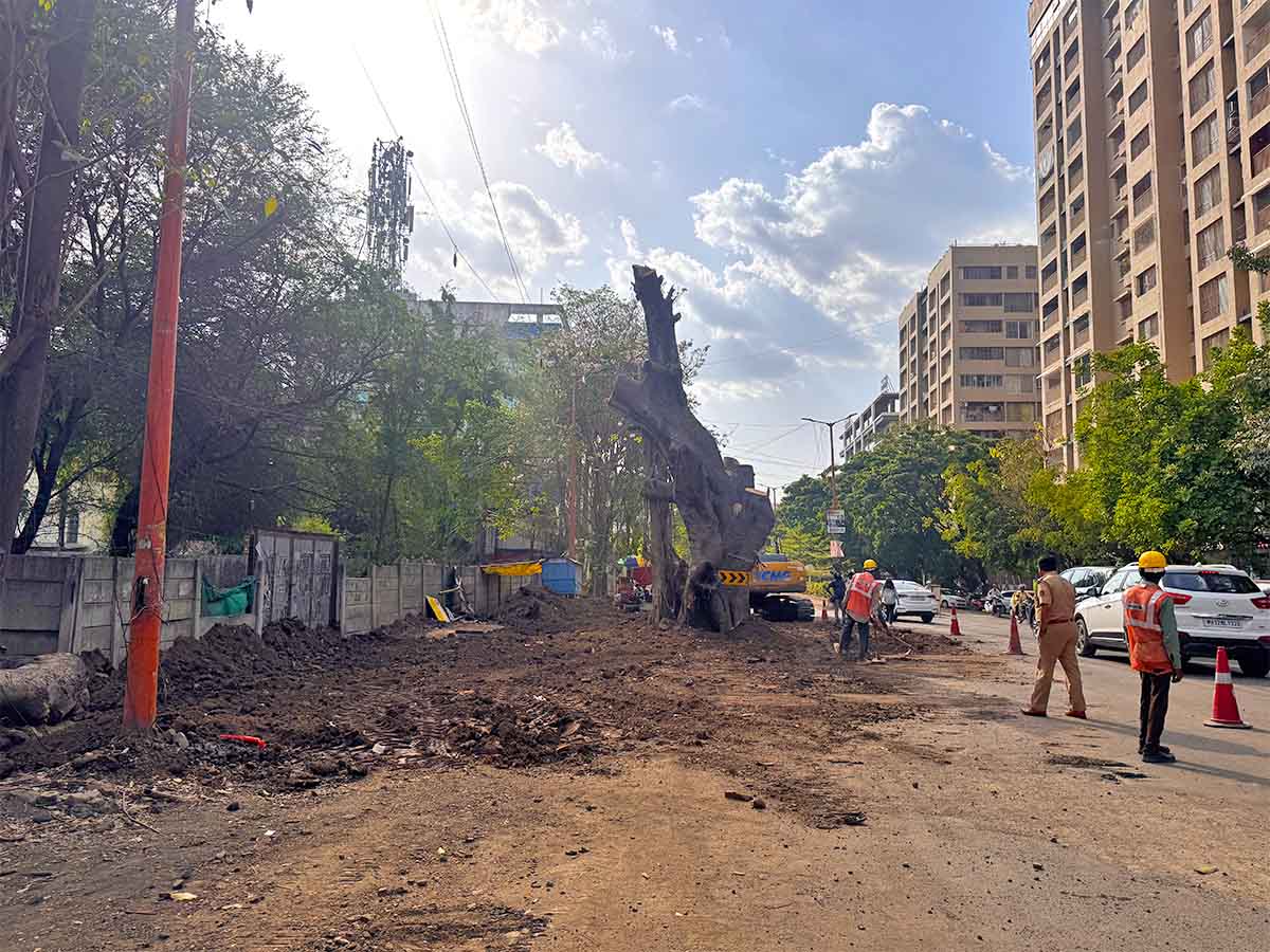 Nashik Tree Cutting Save Trees Protests Photos by Rohit R Images