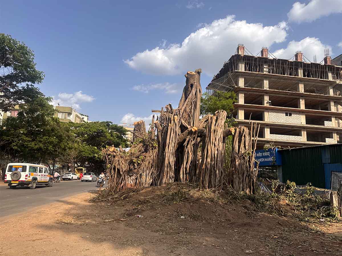 Nashik Tree Cutting Save Trees Protests Photos by Rohit R Images