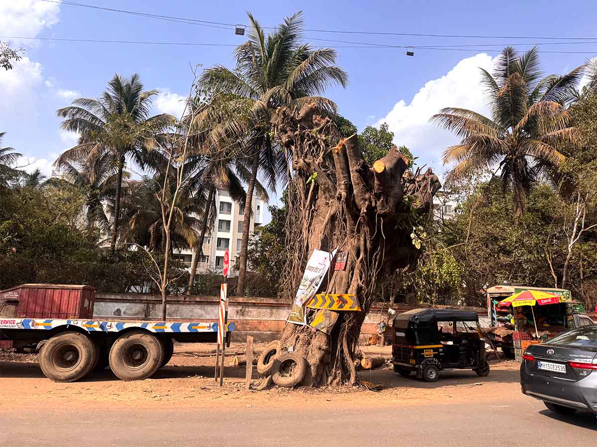 Nashik Tree Cutting Save Trees Protests Photos by Rohit R Images