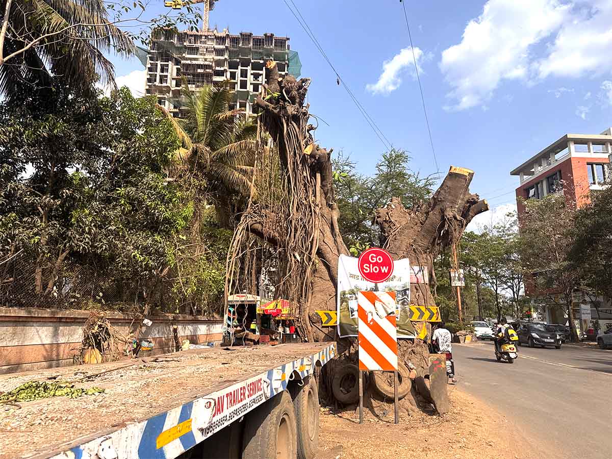 Nashik Tree Cutting Save Trees Protests Photos by Rohit R Images