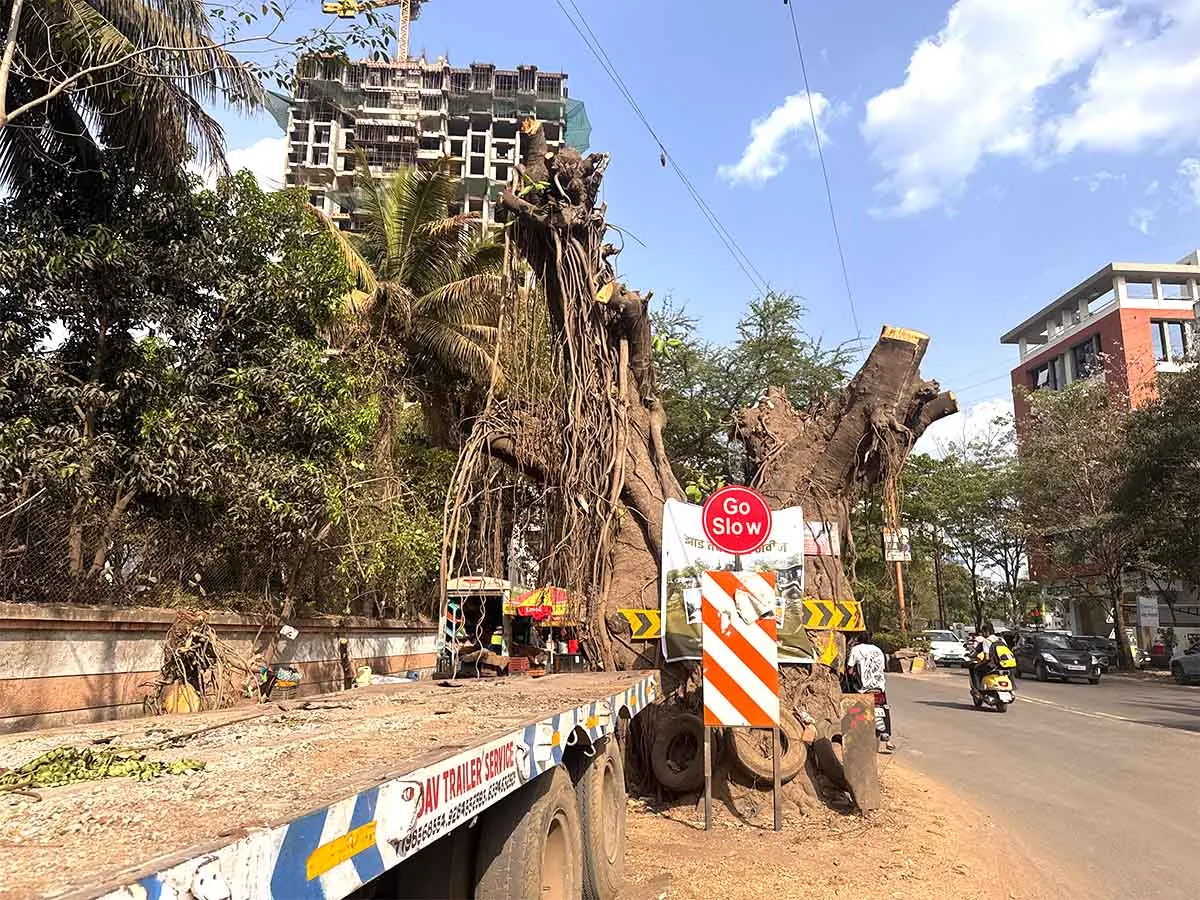 Nashik Tree Cutting Save Trees Protests Photos by Rohit R Images