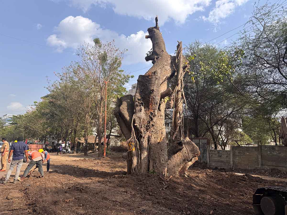 Nashik Tree Cutting Save Trees Protests Photos by Rohit R Images