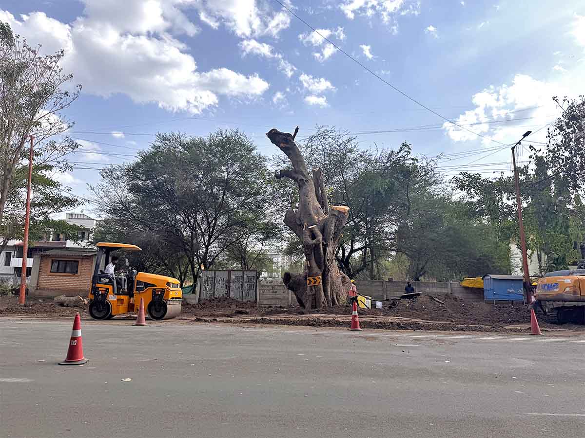 Nashik Tree Cutting Save Trees Protests Photos by Rohit R Images