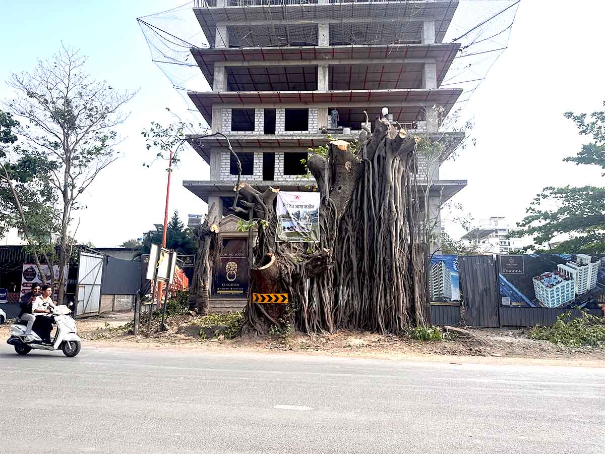 Nashik Tree Cutting Save Trees Protests Photos by Rohit R Images