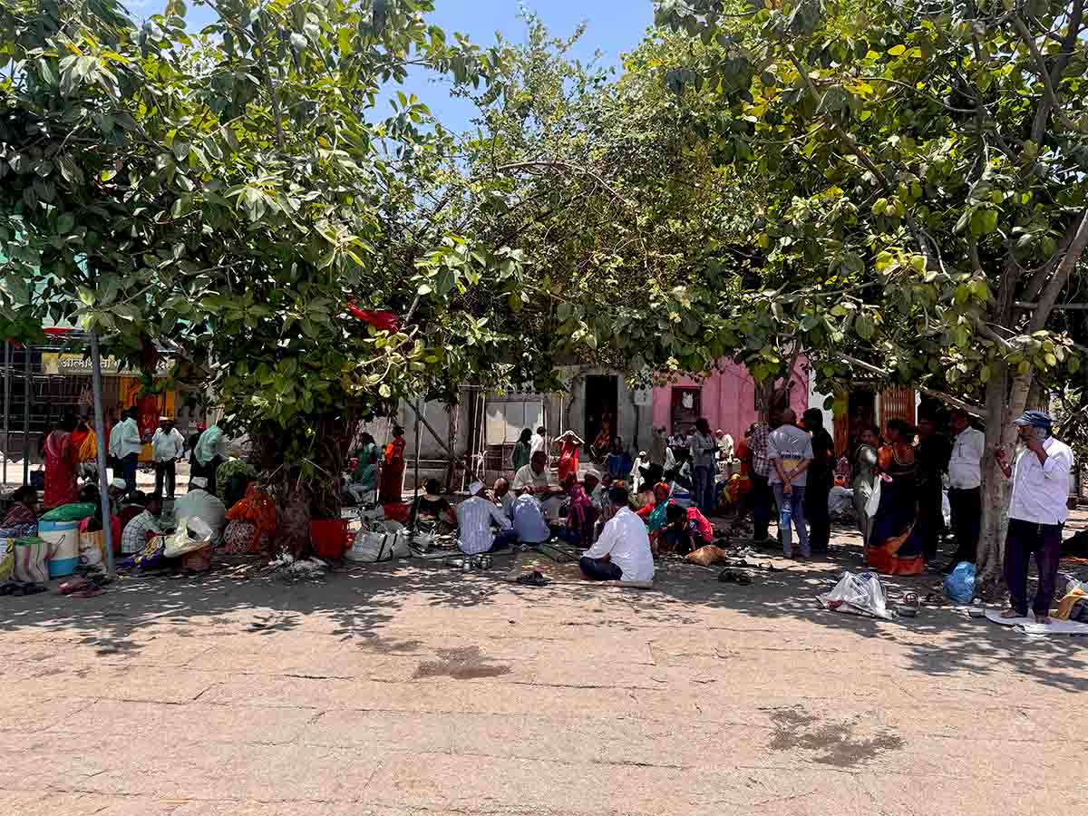 Somvati Amavasya 2026 Pitru rituals being performed by devotees under sacred trees at Ramkund Nashik